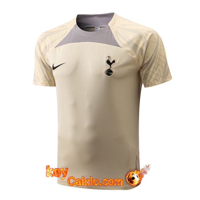 T Shirt Allenamento Tottenham Hotspur Giallo 2022/2023