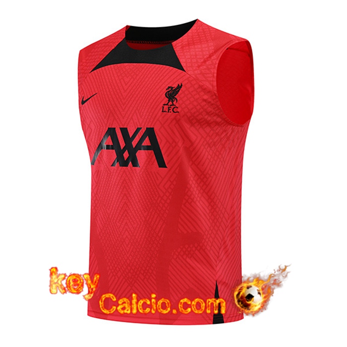 Canotta Allenamento FC Liverpool Rosso 2022/2023