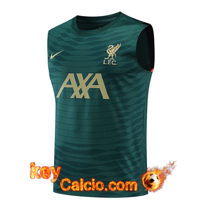 Canotta Allenamento FC Liverpool Verde 2022/2023